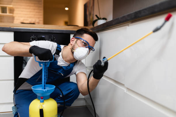 Best Local Pest Control Services  in Azle, TX