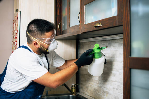 Wildlife Control Services in Azle, TX