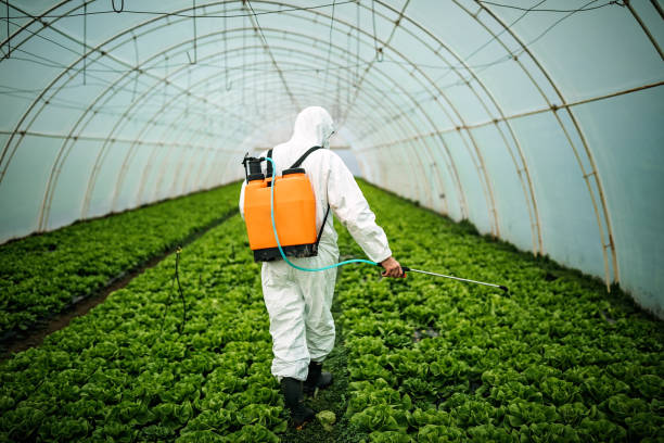 Best Pest Control Near Me  in Azle, TX
