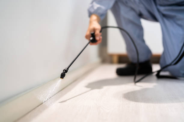 Professional Pest Control in Azle, TX