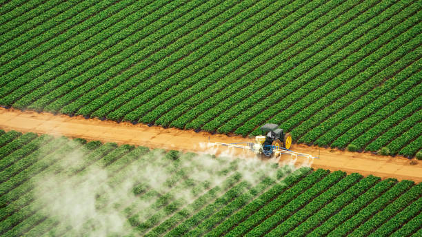 Best Pest Control for Restaurants  in Azle, TX