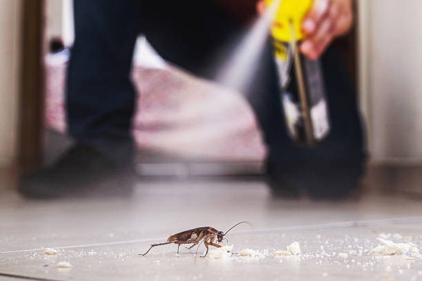 Best Affordable Pest Control Services  in Azle, TX