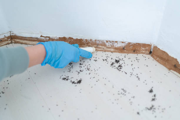 Best Pest Removal Services  in Azle, TX